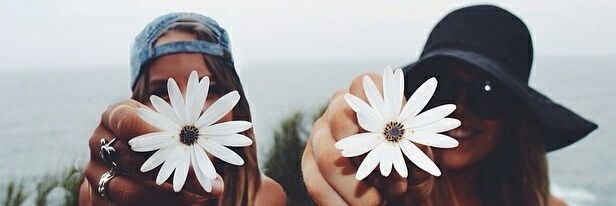 _Pinguu_'s profile banner image