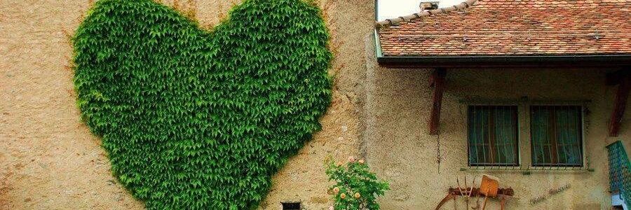 Nana_Tobar's profile banner image