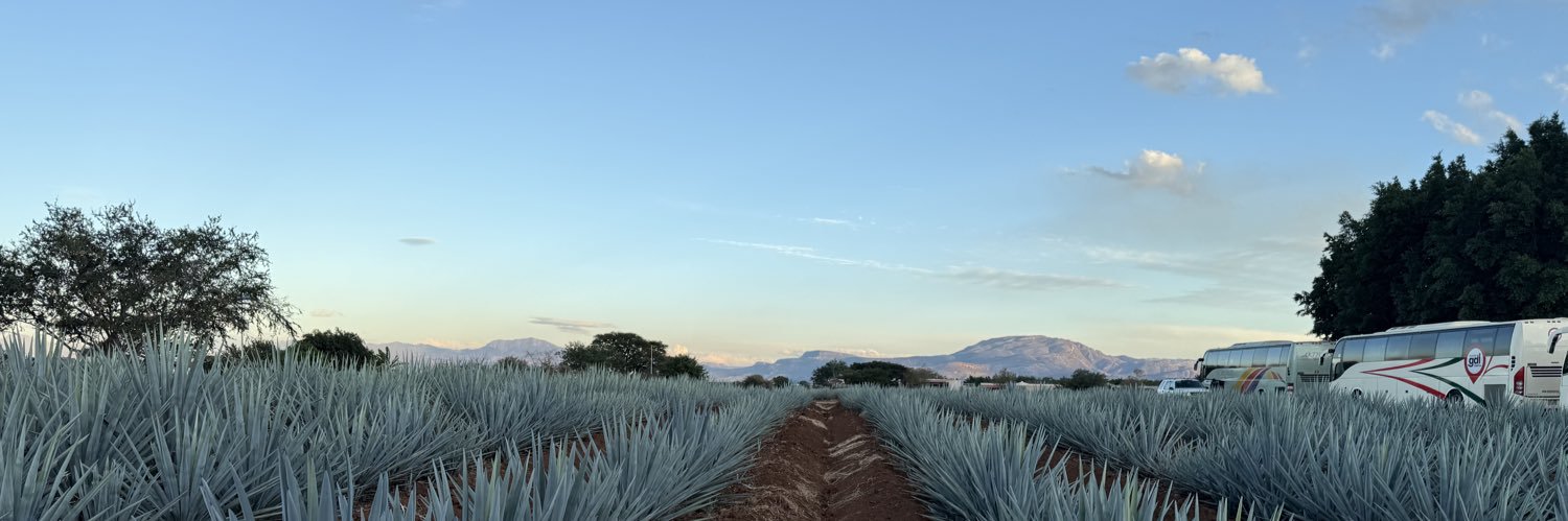 ariavico's profile banner image