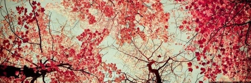 Nanda_RK's profile banner image