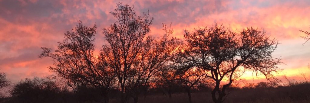 tomasalarcon16's profile banner image