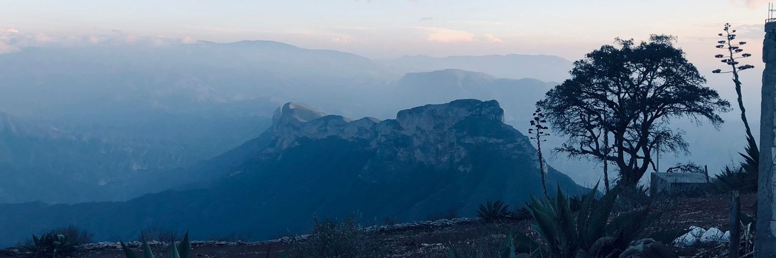 Fernando Quesada banner