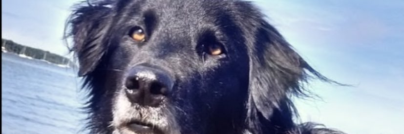 Katherine Cromwell banner