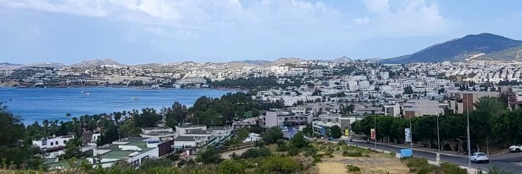 Ale𝕏 banner