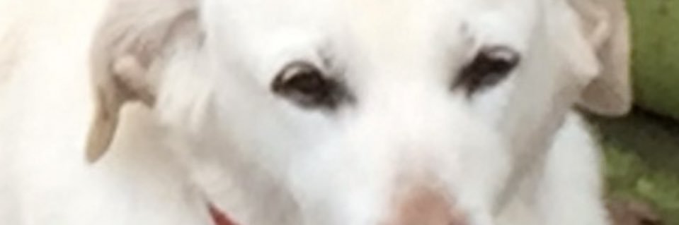 derekallen99's profile banner image
