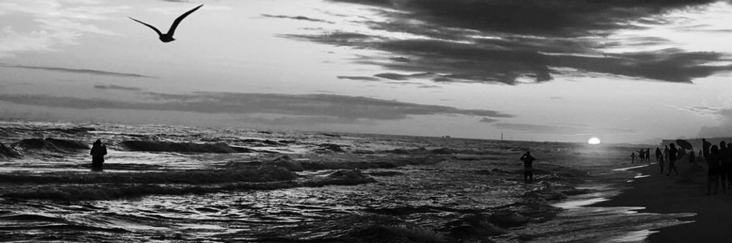 Brittney banner