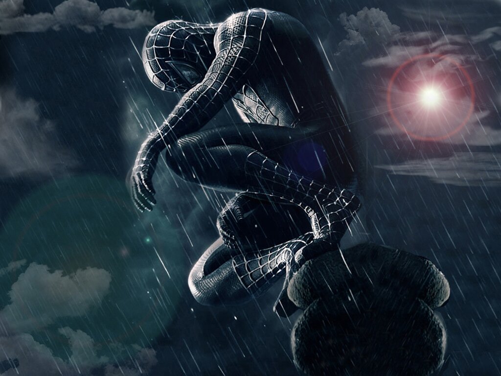 harry_ort's profile banner image