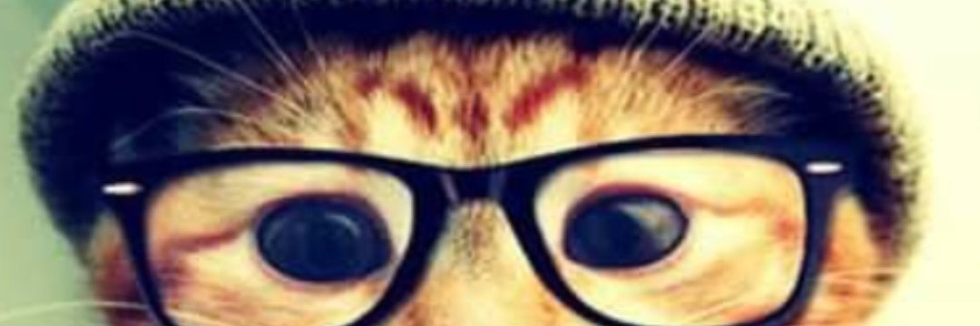 binhow4's profile banner image
