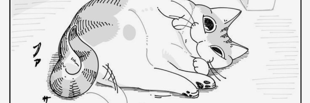 ds_nieriel's profile banner image