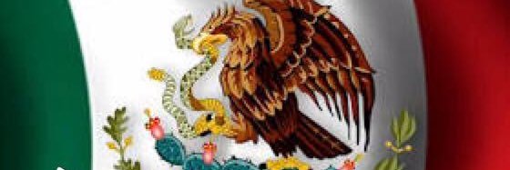 lissy castro banner