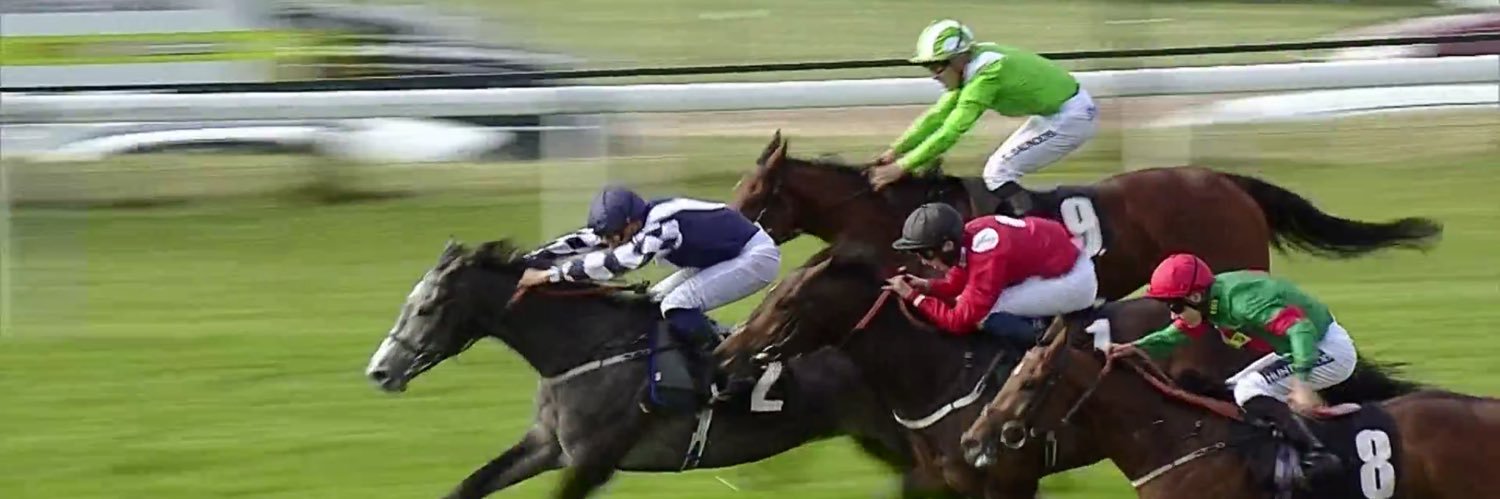 Pierre-louis jamin banner