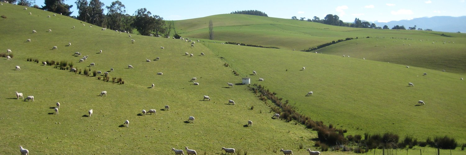 tetarapuka's profile banner image
