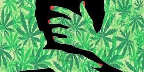 CUDIVAR's profile banner image