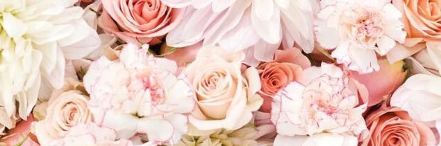xoKatJohnson's profile banner image