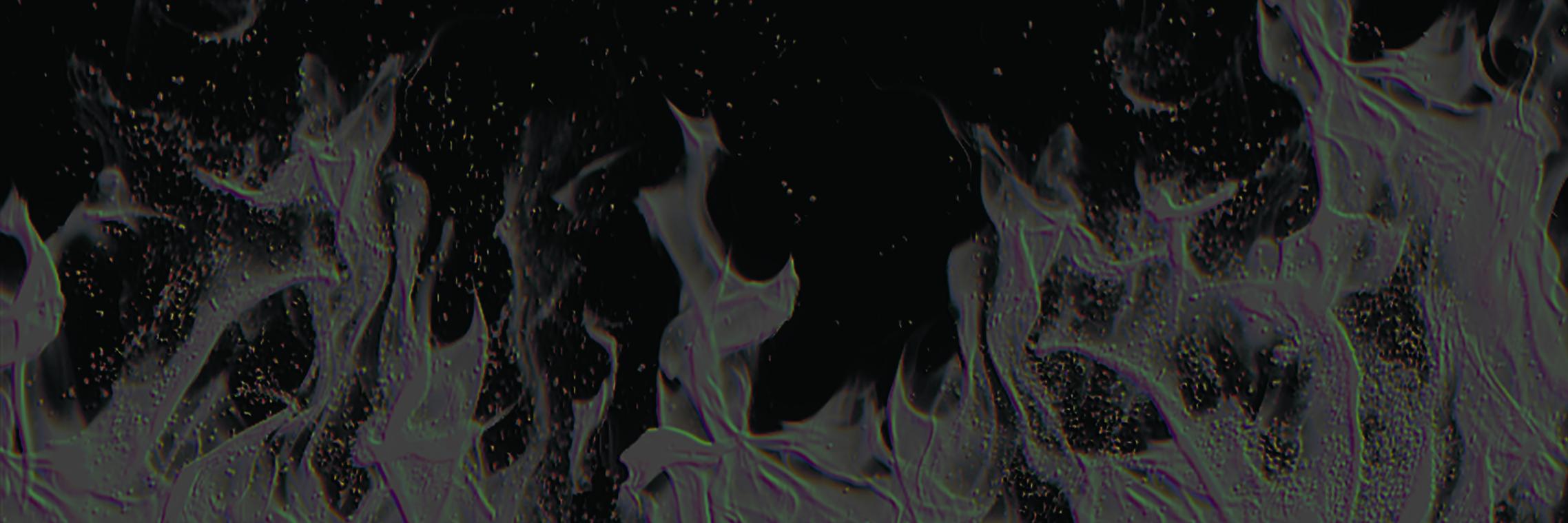 gravebabies's profile banner image
