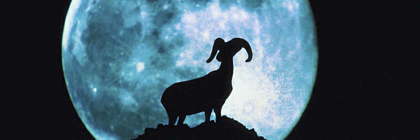 KSplackaveille's profile banner image