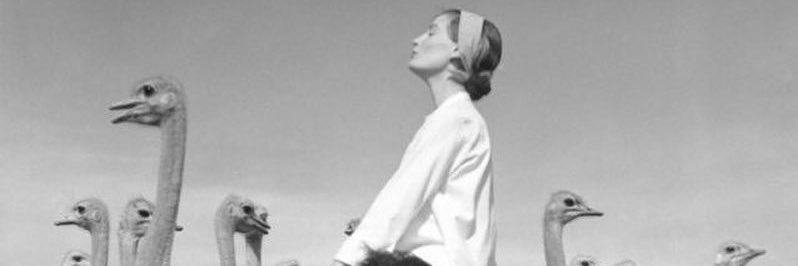 sara_qaqa's profile banner image