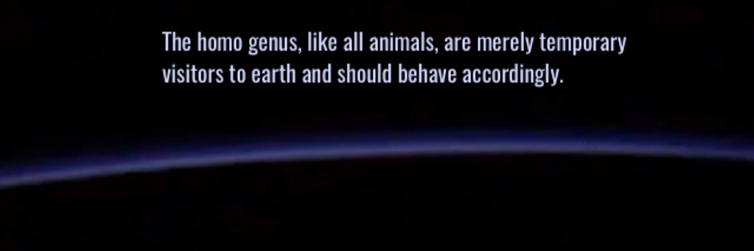 3rdMillenniumDolphin banner