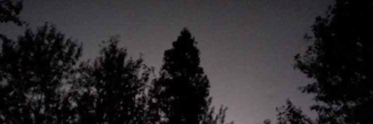EhniCaryn's profile banner image