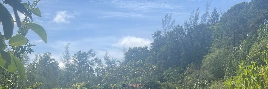 Juandedios_x3's profile banner image