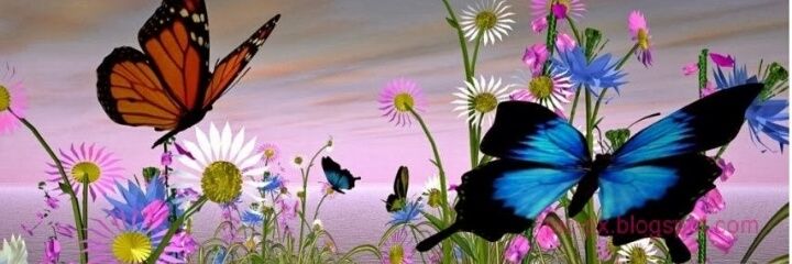 MM__hh__1's profile banner image