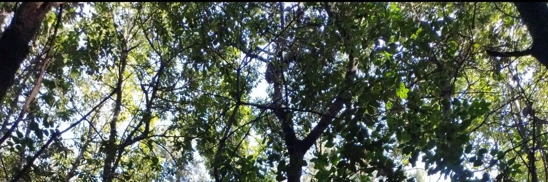 Hugo Cejas Pérez banner