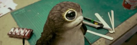 💙 Rey Ridley 💙 banner