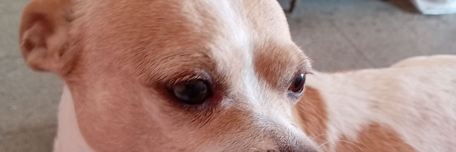 azulsm's profile banner image