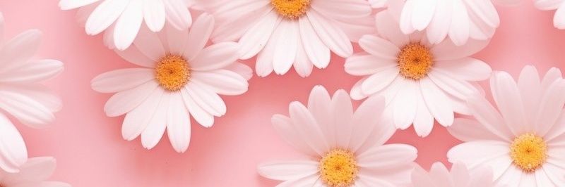 BC_tost's profile banner image