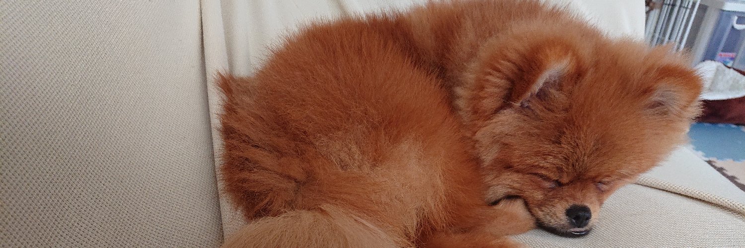 Jiroh777's profile banner image