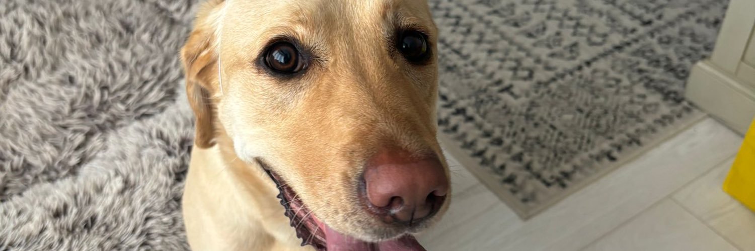 Kerrie Thorne banner