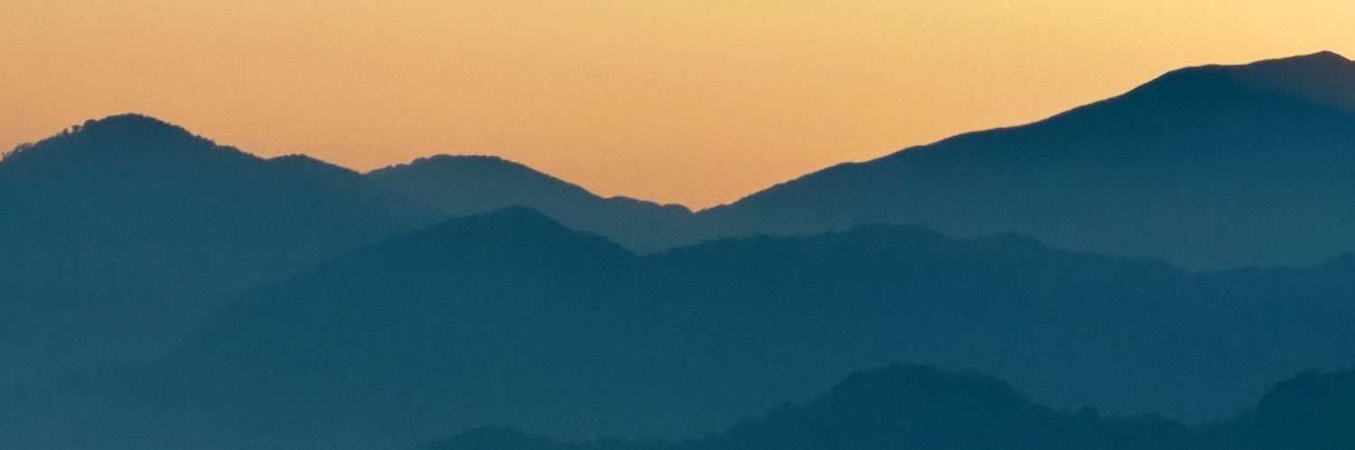 Stephanie Schultz banner