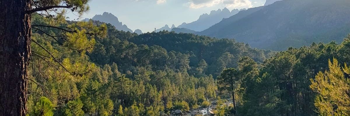 SimoneAgazzini's profile banner image