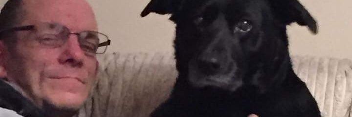 AlisonM46962660's profile banner image