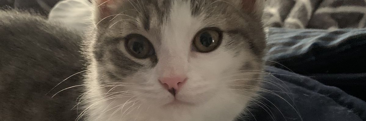 Peaches🍒 banner