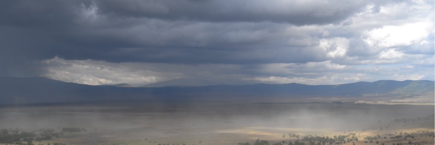 ositodepelluche's profile banner image