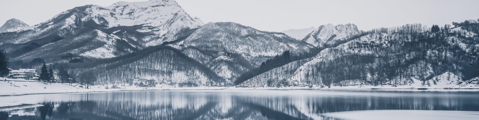 BSylv1's profile banner image