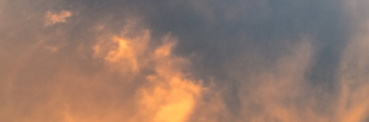 elleonavt's profile banner image