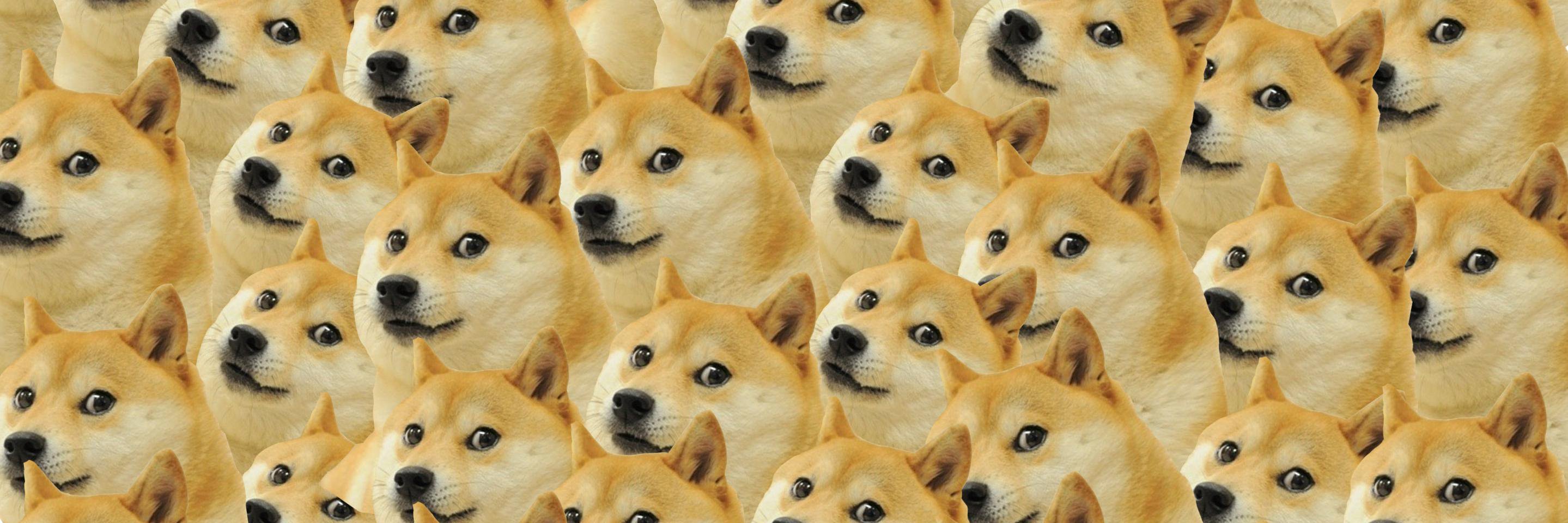 Pyos_batonchik's profile banner image