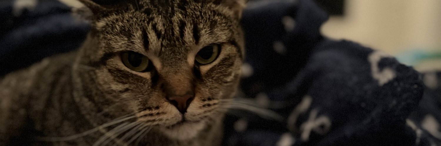 ThenBethanySaid's profile banner image