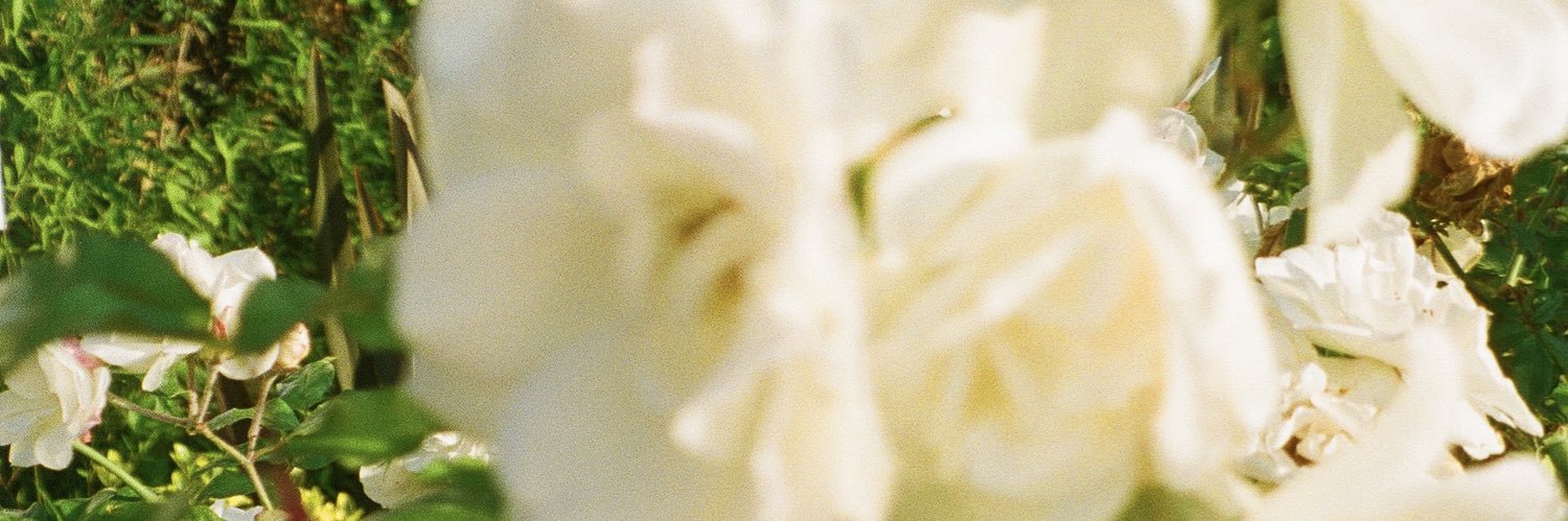 WYANDll's profile banner image