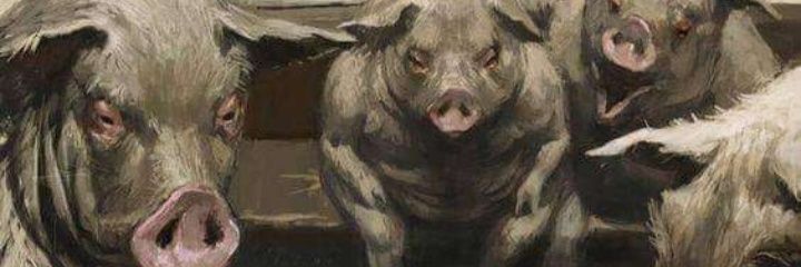 weecoffeevibers's profile banner image