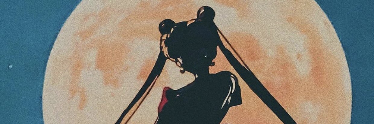 secretdisplay's profile banner image