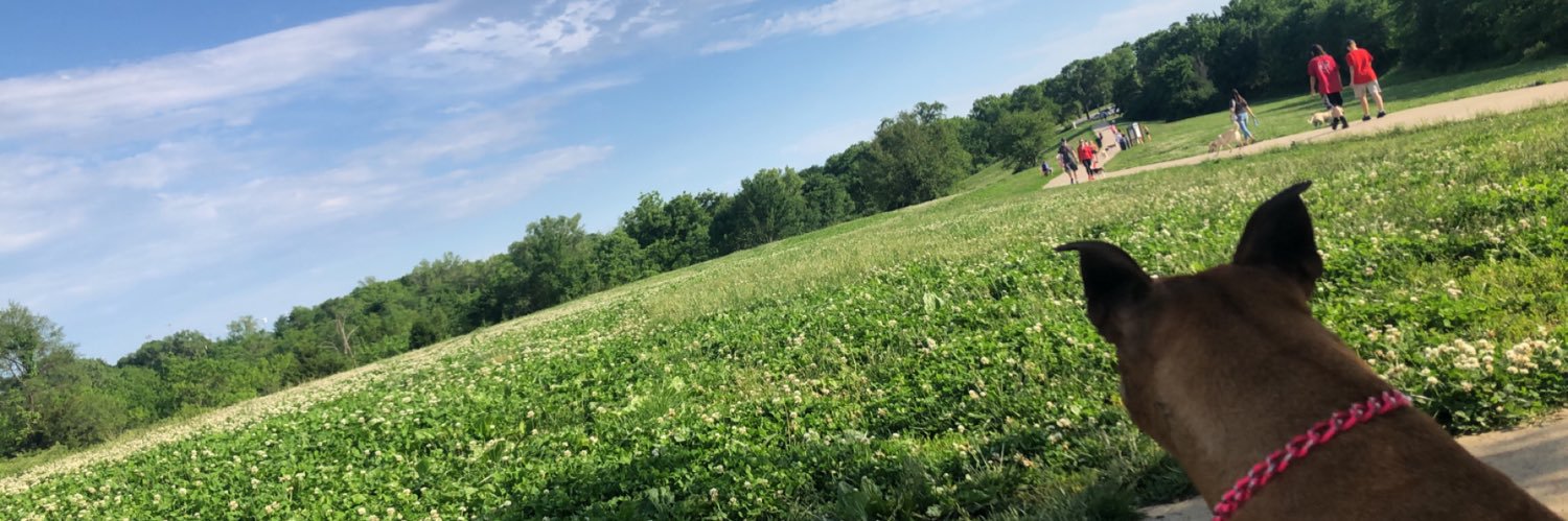 JasonMcConnell5's profile banner image