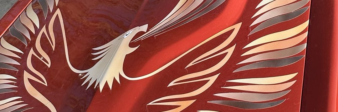 TG_MUL's profile banner image