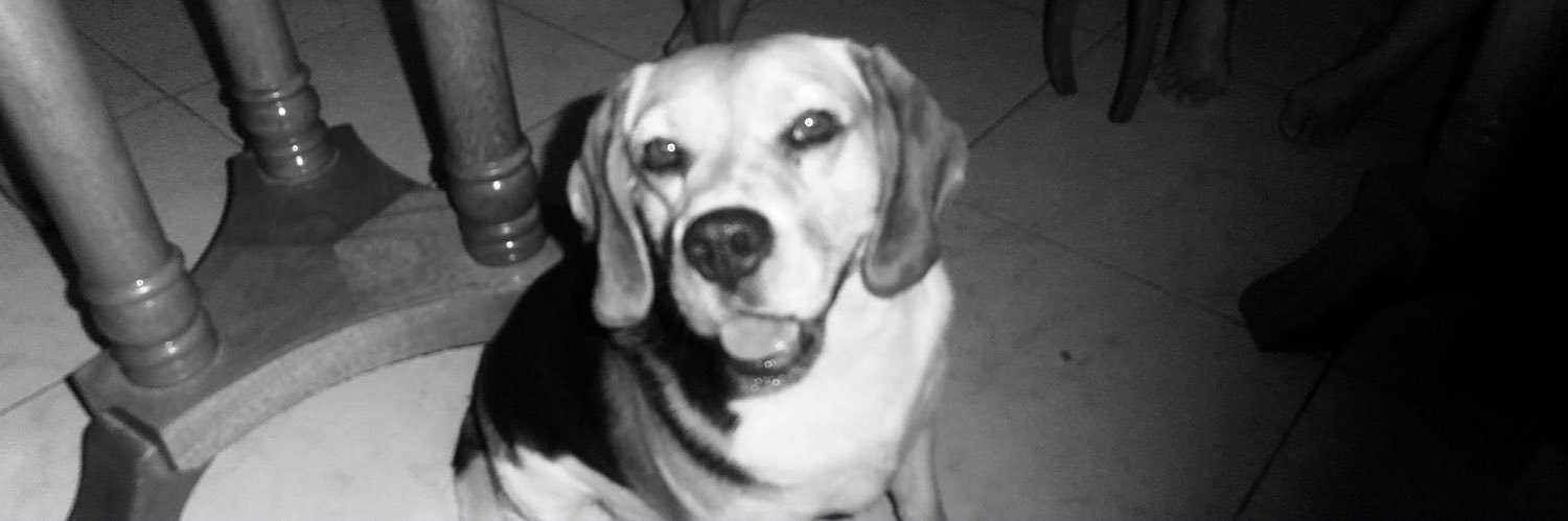 grabobiindii's profile banner image