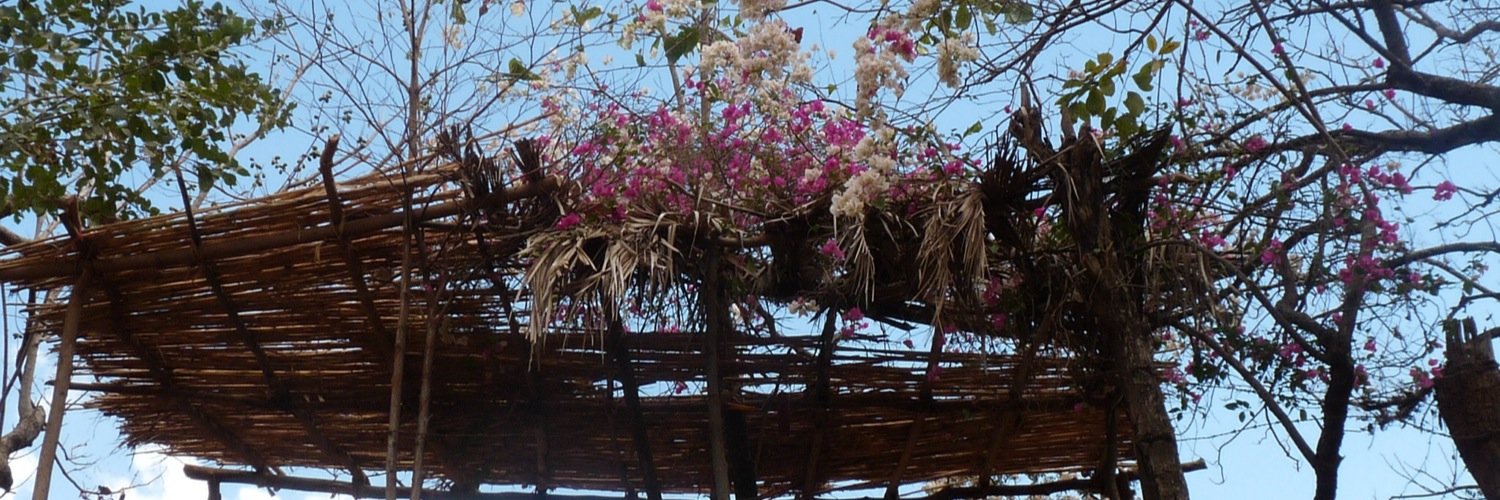 roxane fleurent banner