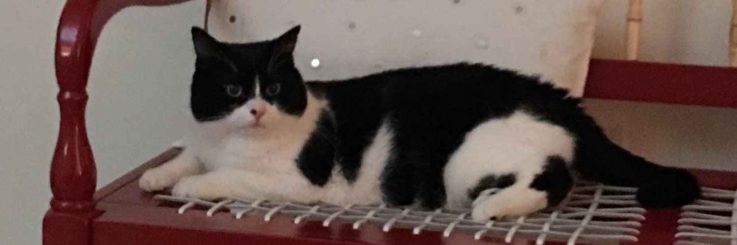 tweedledits's profile banner image