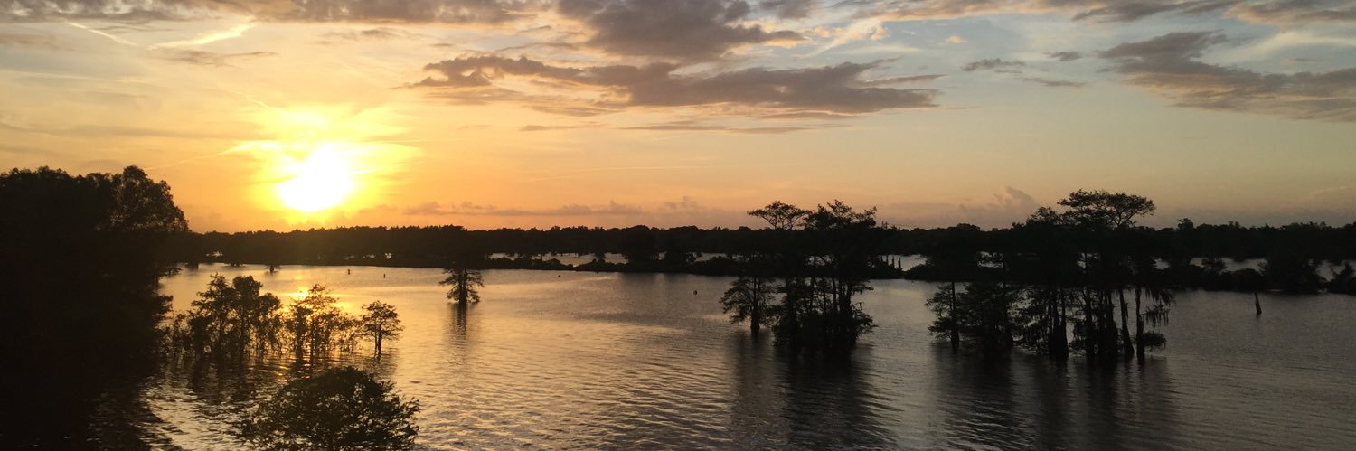 RondaAtchison's profile banner image