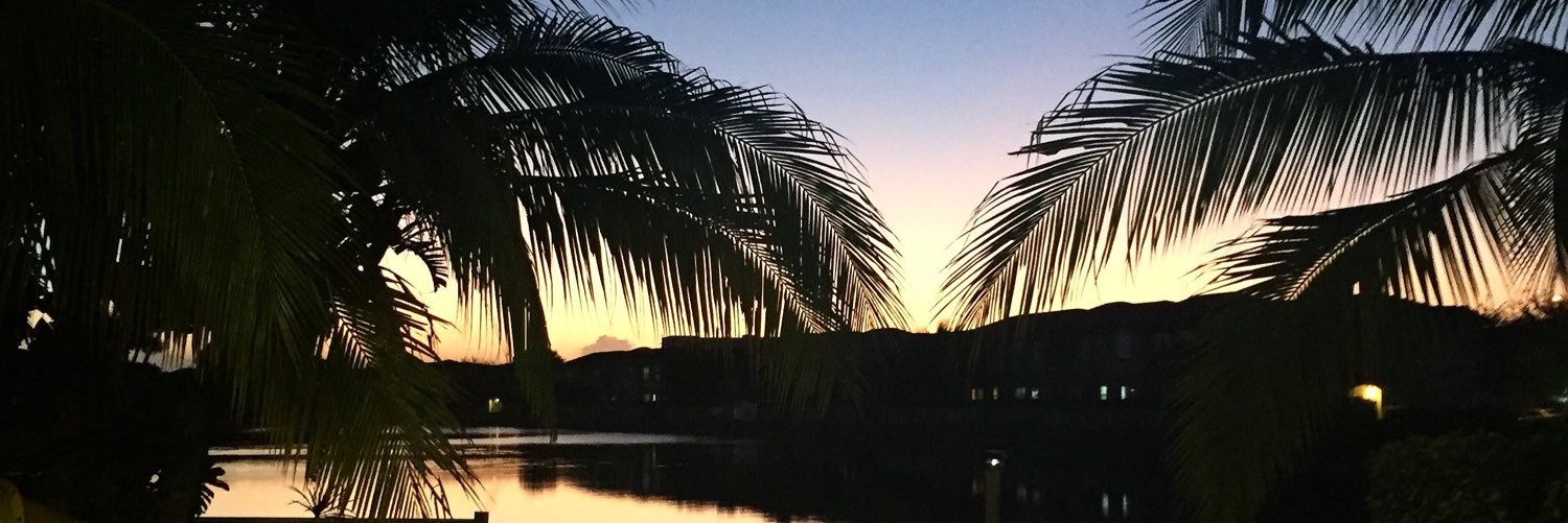 tinniepriv's profile banner image